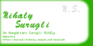 mihaly surugli business card